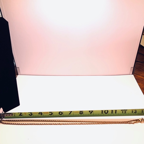 The Vatican Library Collection/Religious Church pendant gold tone 26inch chain - Picture 9 of 10